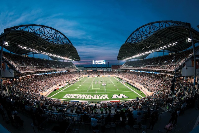 成为球队的 成为球队的