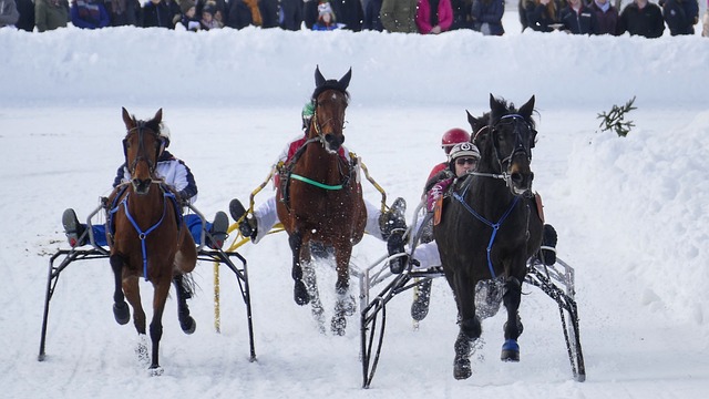 他時常在關 他時常在關