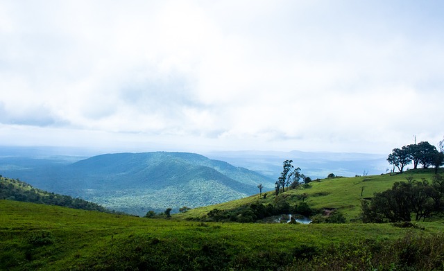 技术表现 技术表现