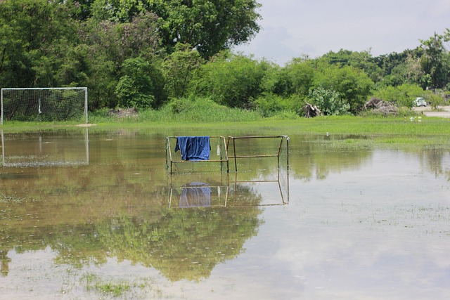 更彰显了他 更彰显了他