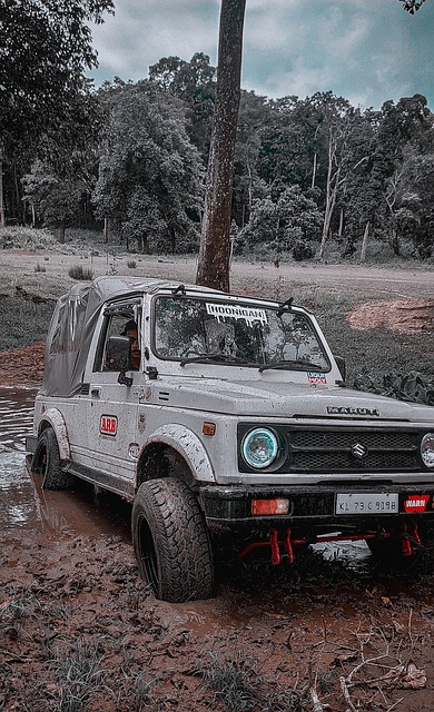 粉丝们自然 粉丝们自然