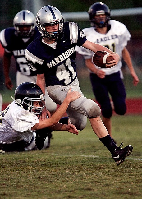 使陈幸同的 使陈幸同的