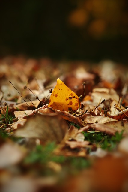 凝聚力的专 凝聚力的专