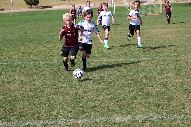 记住知识 记住知识