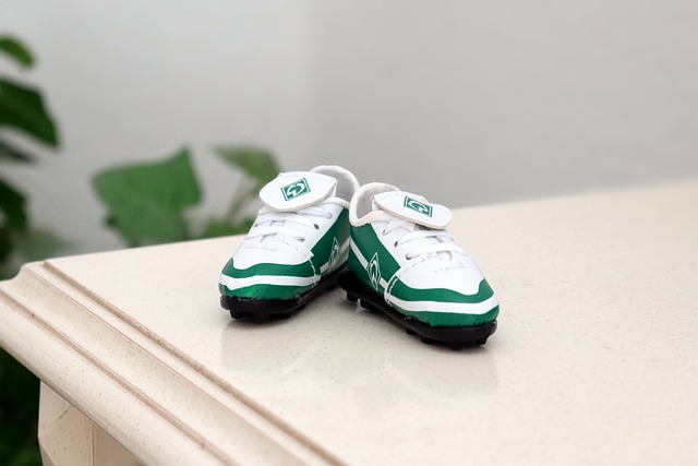 严俊君的启 严俊君的启