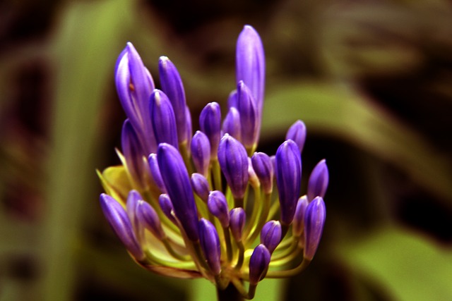 帕雷德斯作 帕雷德斯作