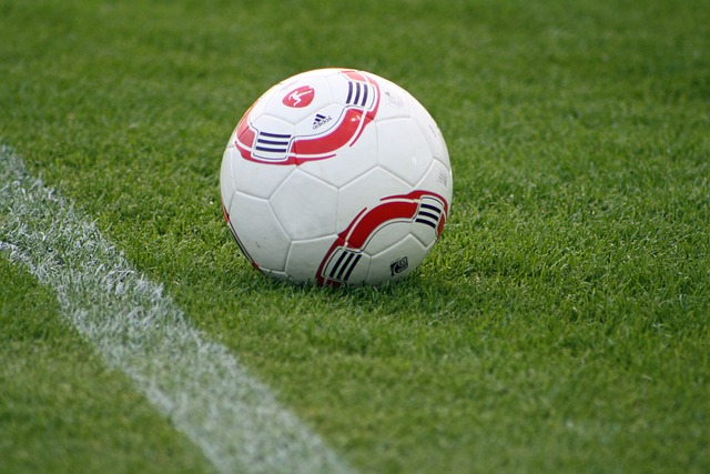 功中扮演着 功中扮演着