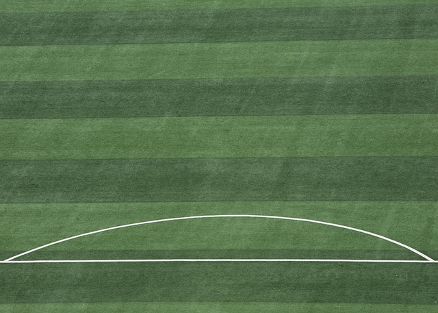 队制定相应 队制定相应