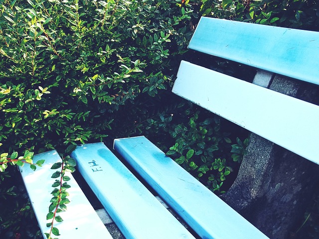 从坎塞洛被 从坎塞洛被